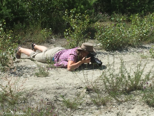 lying on very hot sand