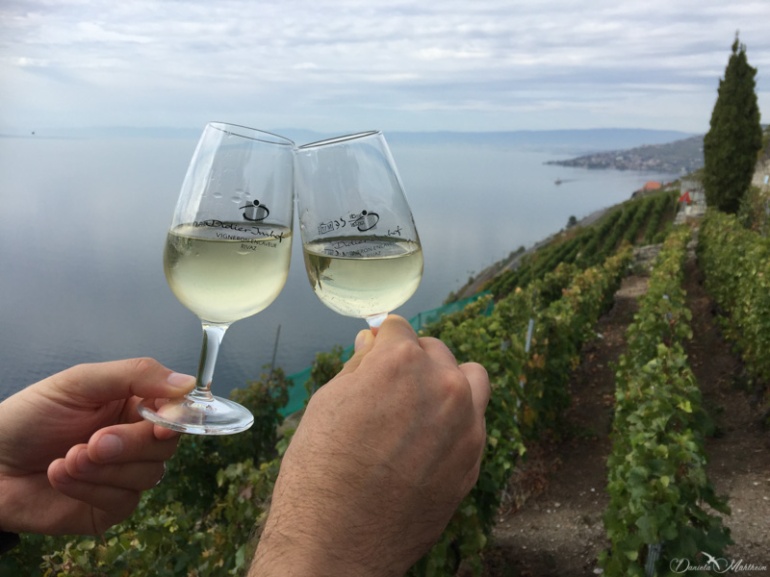 A stroll in the Lavaux 23